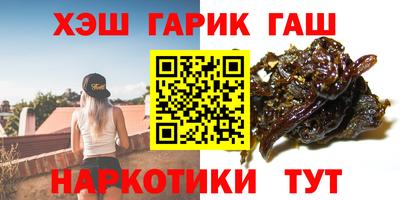 гашик Можга