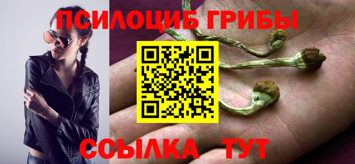 Галлюциногенные грибы ЛСД Старая Купавна