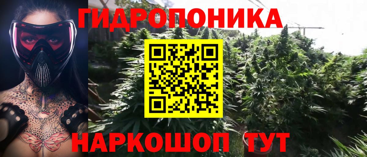 Бошки Шишки конопля Старая Купавна